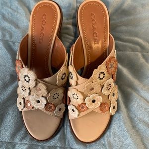 Coach Tea Rose mule